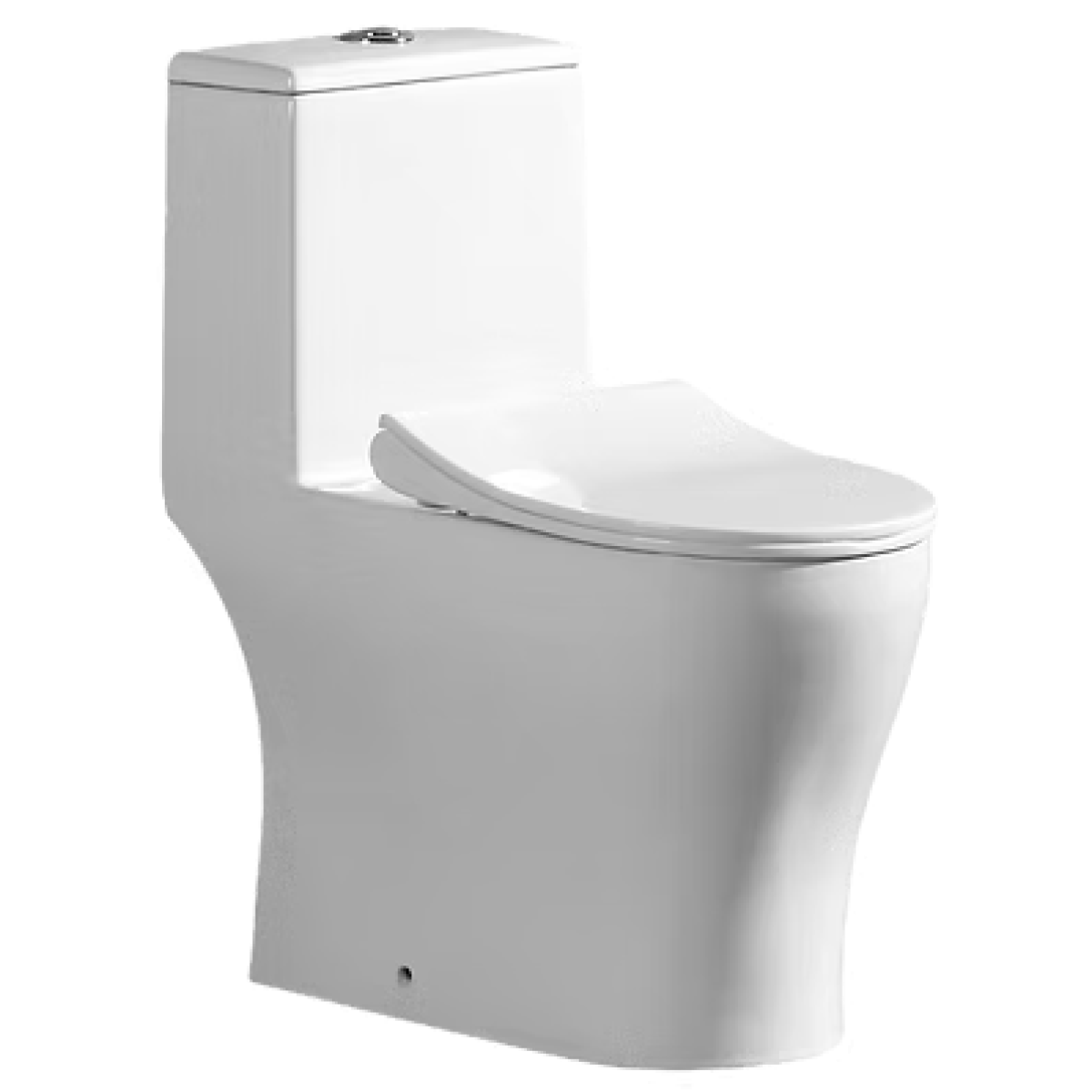 Richford R747 整體式自由咀兒童座廁